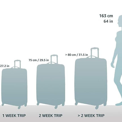 Samsonite Winfield 2 Hardside Luggage with Spinner Wheels, Charcoal, Checked-Large 28-Inch, Winfield 2 Hardside Luggage with Spinner Wheels