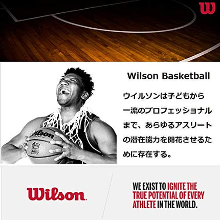 Wilson Mini NBATeam Basketball Hoop