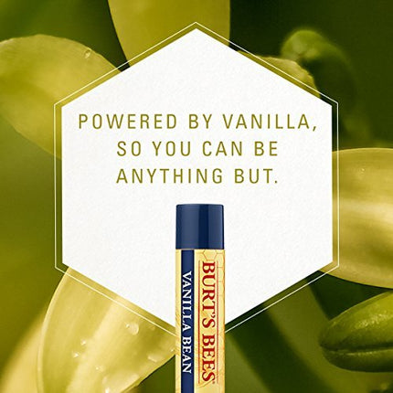 Burt's Bees Vanilla Bean Moisturizing Lip Balm - 0.15oz Lip Balm