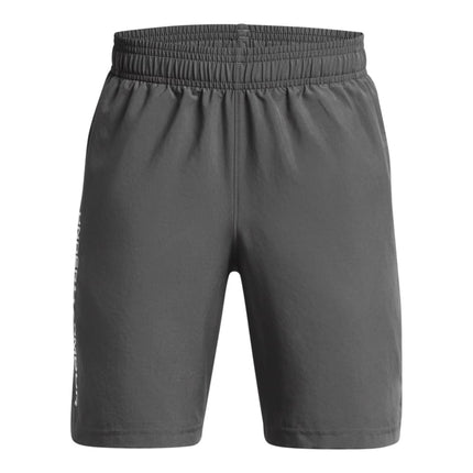Under Armour UA Woven Wdmk Shorts1383341-025 YSM