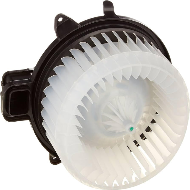 Blower Motor