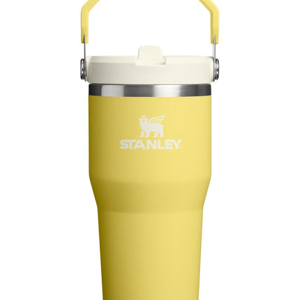 Stanley IceFlow 2.0 Tumbler with Flip Straw with Handle, Screw Lid and Flip Straw, Leakproof Water Bottle, Stainless Steel, BPA Free, Daffodil