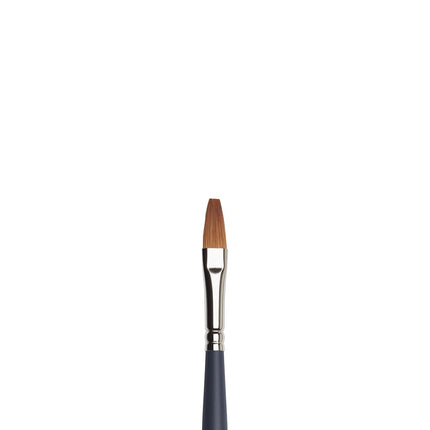 Winsor & Newton 5011606 Professional Watercolour B