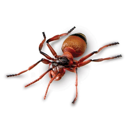 Learning Resources Jumbo Insects
