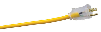 Coleman Cable 01289 Rallonge d'extérieur isolée 16/3 de 30 mètres avec extrémité lumineuse
