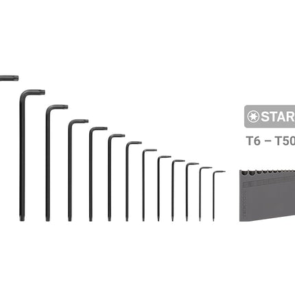 Jeu de clés L étoile TEKTON avec support, 13 pièces (T6-T50) | KLT91402