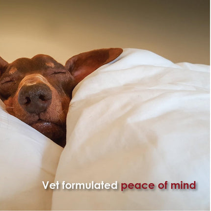 Tranquil Tabs For Dogs