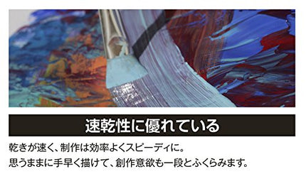 Turner acrylic gouache 24 colors set school (japan import)