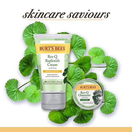Burt's Bees 100% Natural Origin Multipurpose Res-Q Ointment with Cica, 15g, 15 g (Pack of 1)