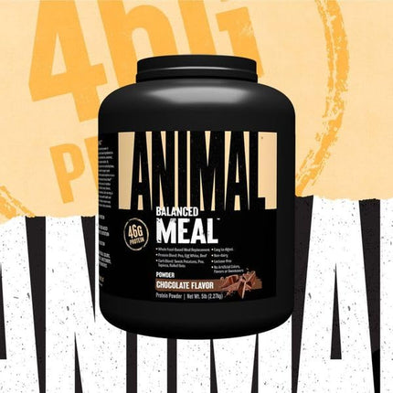 Animal Meal – All Natural High Calorie Meal Shake – Egg Whites, Beef Protein, Pea Protein, Rolled Oats, Sweet Potato, Chocolate 5 Pound