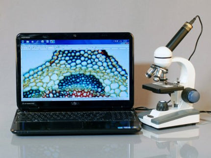 AmScope M150C-MS Compound Monocular Microscope, WF10x and WF25x Eyepieces, 40x-1000x Magnification, LED Illumination, Brightfield, Single-Lens Condenser, Coaxial Coarse and Fine Focus, Mechanical Stage, 110V