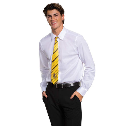 Disguise Harry Potter Necktie Costume Accessory, Movie Quality Hogwarts House Themed Character Dress Up Tie for Adults, Yellow & Black, Adult size