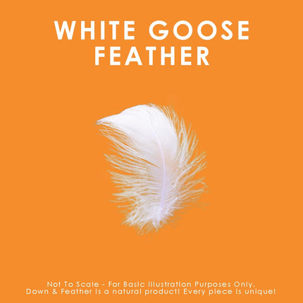 Canadian Down & Feather Co. - All Season White Goose Feather Duvet King Size Doona - 233 TC Shell 100% Cotton 360 GSM Quilt - Oeko TEX Certified