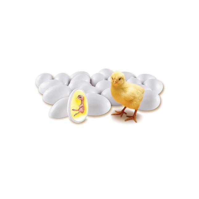 Learning Resources Chick Life Cycle Exploration Set (LER2733)