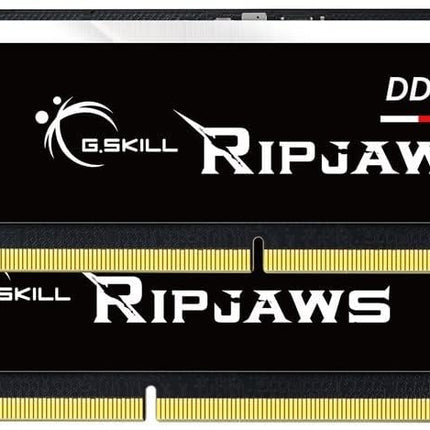 G.SKILL Ripjaws DDR5 SO-DIMM Series DDR5 RAM 64GB (2x32GB) Up to 4800MT/s CL40-39-39-76 1.10V Unbuffered Non-ECC Notebook/Laptop Memory SO-DIMM (F5-4800S4039A32GA2-RS)