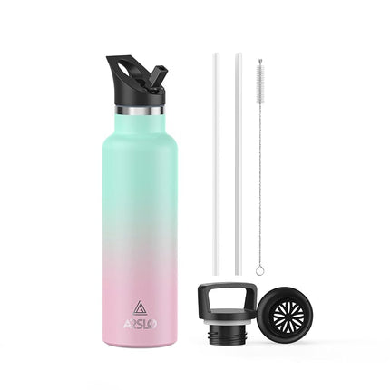 Stainless Steel Water Bottle with Straw - Insulated Water Bottle for Sports, Gym, School, Commute, Adults/Kids - Keep Cold for up to 24 Hours - Sweat/Leak-proof - 2 Lids - BPA Free