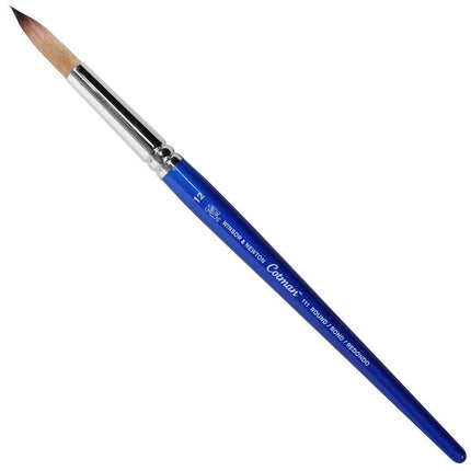Winsor & Newton Brush, Wood, Transparent, No 12 -.