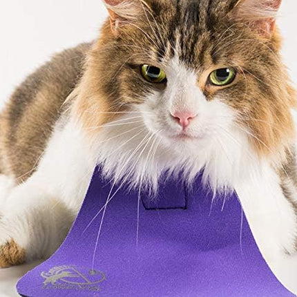 Collar para gatos CatBib que salva aves, evita que los gatos cacen y maten aves, babero colorido anticanino para salvar aves y otros animales salvajes (grande, morado)