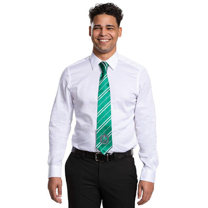 Disguise Harry Potter Necktie Costume Accessory, Movie Quality Hogwarts House Themed Character Dress Up Tie for Adults, Green & Gray, Adult size