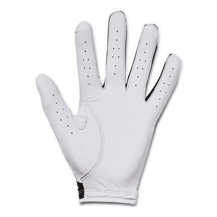 Under Armour Men's Full Finger Gloves Ua Iso-Chill Golf Glove, Black, 1370277-001, LXLC