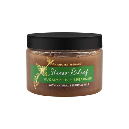 Bath & Body Works AROMATHERAPY Stress Relief Eucal