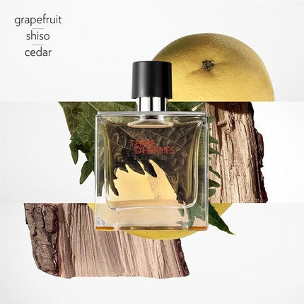 Hermes Terre D’Hermes Pure Eau de Parfum Spray for Men 75 ml