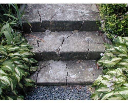 Dexpan Mortero Expansivo para Demolición, Cubo de 11 lb. para Romper Rocas, Cortar Hormigón, Excavar. Alternativa a Martillo Demoledor, Rompedora de Concreto, Sierra para Concreto, Taladro de Roca (#1 (77-104 F))