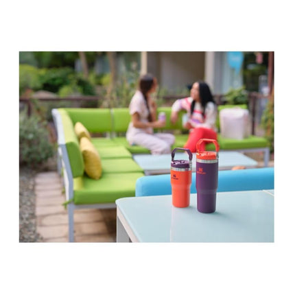 STANLEY IceFlow Flip Straw Tumbler with Handle 20 oz | Twist On Lid and Flip Up Straw | Leak Resistant Water Bottle | Insulated Stainless Steel |BPA-Free | Tigerlily Plum