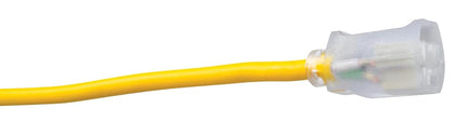 Coleman Cable 01289 Rallonge d'extérieur isolée 16/3 de 30 mètres avec extrémité lumineuse