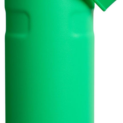 STANLEY IceFlow Quick Flow Water Bottle - Angled L