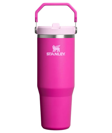 STANLEY IceFlow 2.0 Flip Straw Tumbler with Handle