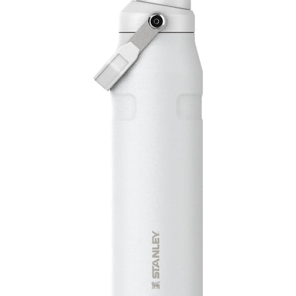 Stanley IceFlow Fast Flow Water Bottle 36 oz | Ang