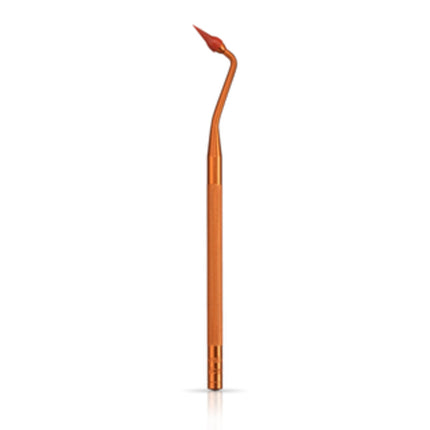 Gum Stimulateur Gingival