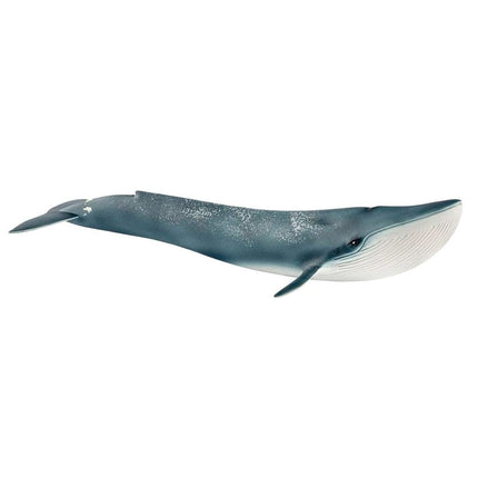 Schleich Wild Life 14806 Collectible Blue Whale for Adults & Kids 3+