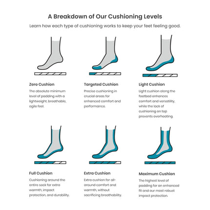 Smartwool Women's Run Targeted Cushion Low Ankle Socks, Nightfall Blue, M