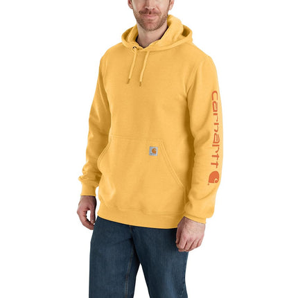 Carhartt Men's Loose Fit Midweight Logo Sleeve Gra