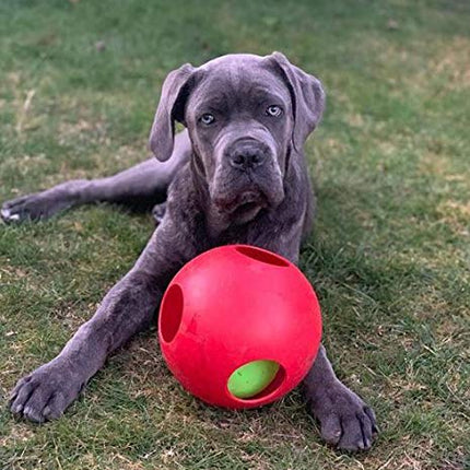 Jolly Pets Teaser Ball Dog Toy, 20 cm, Red