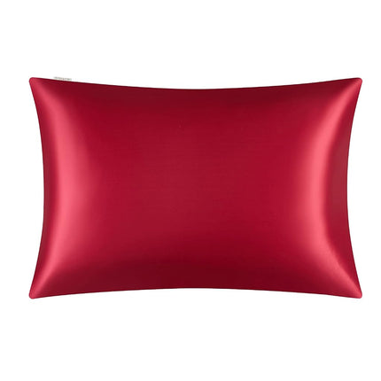 DISANGNI 100% Natural Mulberry Silk Pillow case for Hair and Skin with Hidden Zipper 22 Momme Both Sides Real Silk Pillow Case (2pc Queen Size 20" x30", Red)