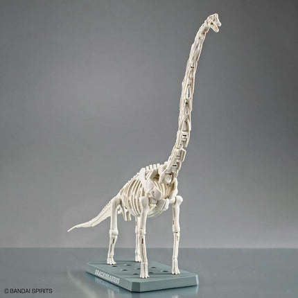 Bandai Hobby Plannosaurus Brachiosaurus Model Kit