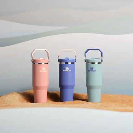 Stanley IceFlow 2.0 Flip Straw Tumbler con asa de 30 oz | Tapa giratoria y pajita abatible | Botella de agua a prueba de fugas | Acero inoxidable aislado | Sin BPA | Siena