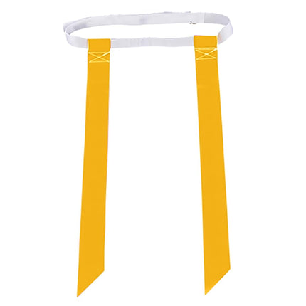 Champro Fútbol Bandera Cinturones y Conos Juego Set