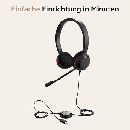 Jabra Evolve 20 MS Mono USB-C