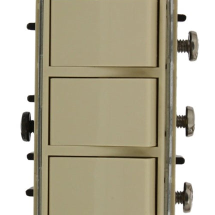 Leviton 1755-2I 15 Amp, 120 Volt, Individual Switc