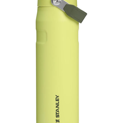 Stanley IceFlow Flip Straw 2.0 Water Bottle 24 oz | Built-In Straw for Travel and Sports | Lightweight and Leak Resistant | Insulated Stainless Steel | BPA-Free | Prickly Pear
