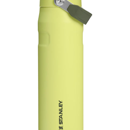 Stanley IceFlow Flip Straw 2.0 Water Bottle 24 oz 