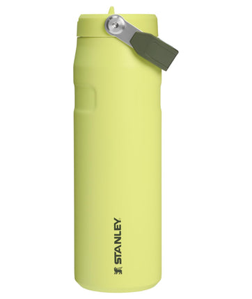 Stanley IceFlow Flip Straw 2.0 Water Bottle 24 oz 