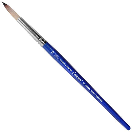 Winsor & Newton Brush, Wood, Transparent, No 10 -.