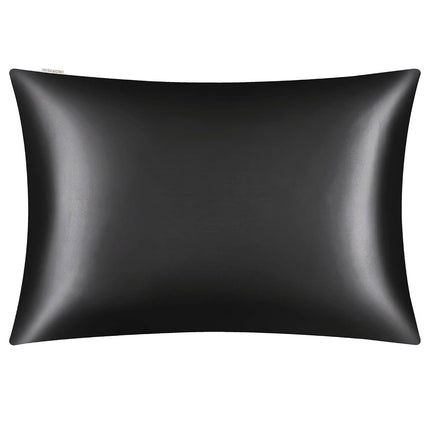 DISANGNI 100% Natural Mulberry Silk Pillow case for Hair and Skin with Hidden Zipper 22 Momme Both Sides Real Silk Pillow Case (2pc Queen Size 20" x30" Black)