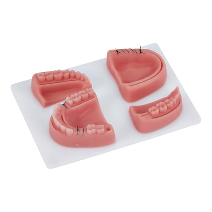 Dentistry Suture Kit | Complete Suturing Kit Including 4 Suture Pads | Perfect Dentist Gifts | 6 Quality Dental Suture Tools | Suturing Practice | OSCE Dentistry | Perfect Suture Material