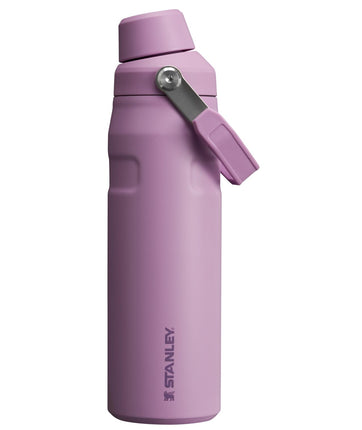 Stanley IceFlow Fast Flow Water Bottle 24 oz | Ang